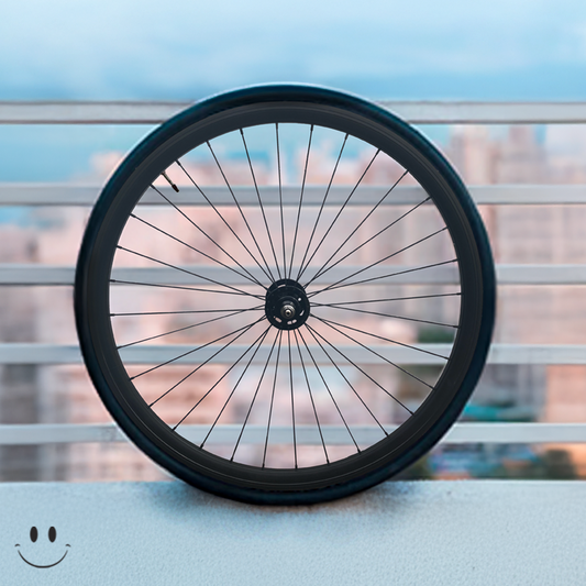 VELOFANT - Wheelset