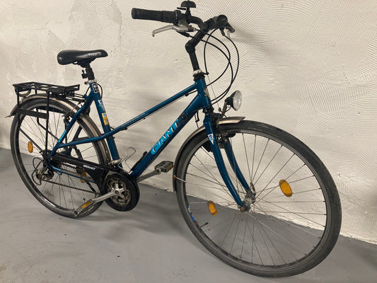 GIANT - 28" - 21vxl - CUSTOM